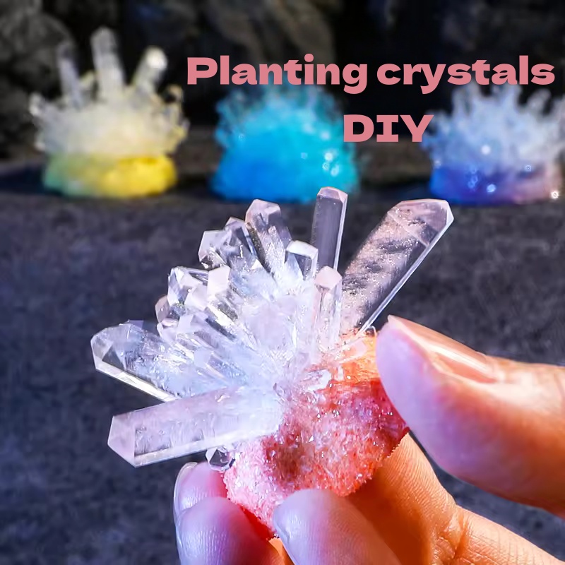 Plant Parent Contact - Набор для научных экспериментов DIY с