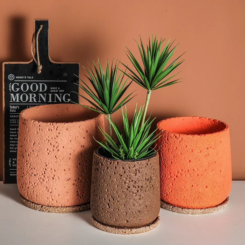 Скандинавское цементное украше – обзор и цена Snake Plant Ceramic