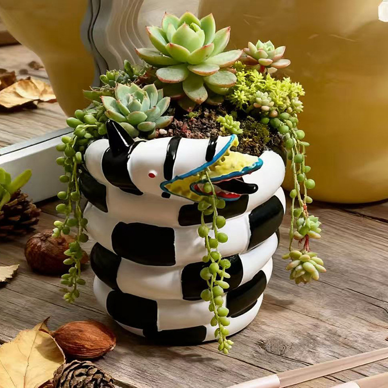 1 шт. черно-белый горшок для ц – обзор и цена Snake Plant Ceramic