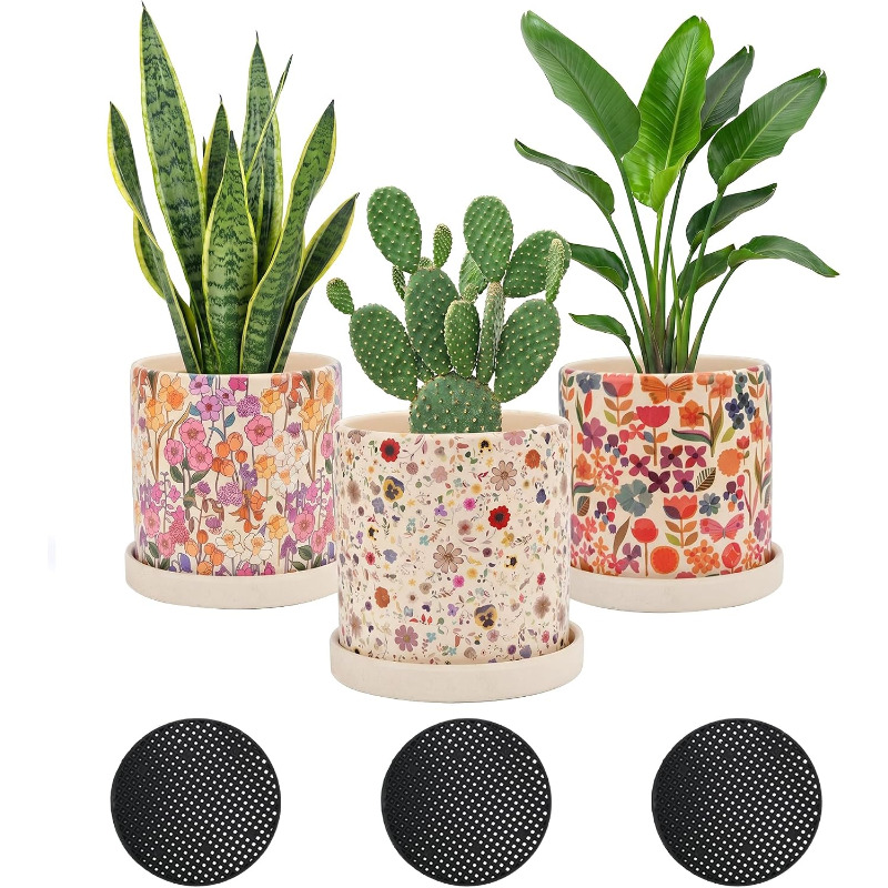 3 шт. керамических кашпо с дре – обзор и цена Snake Plant Ceramic