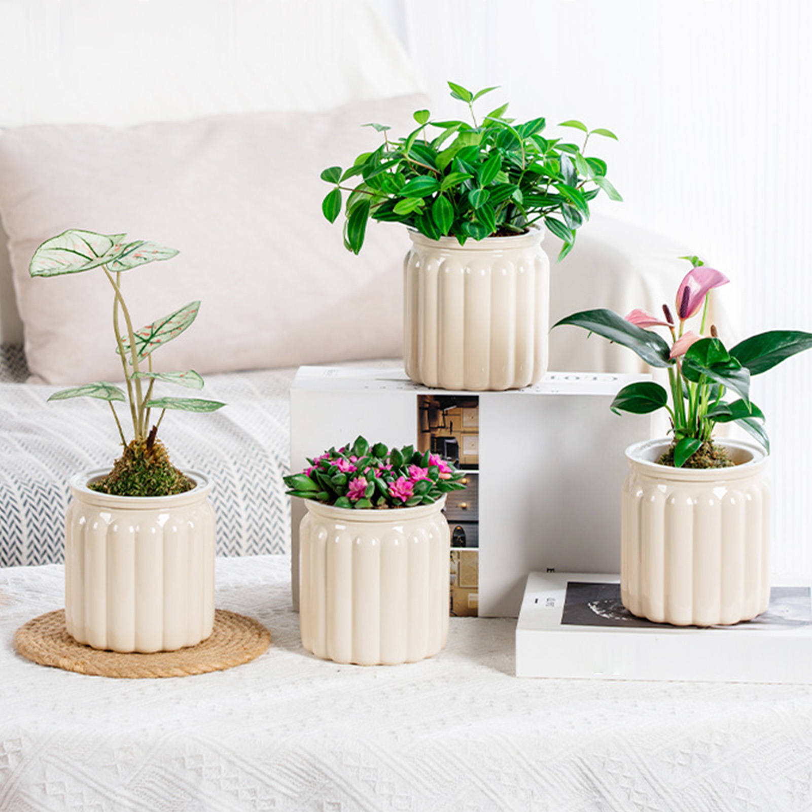 Современные самополивающиеся к – обзор и цена Snake Plant Ceramic